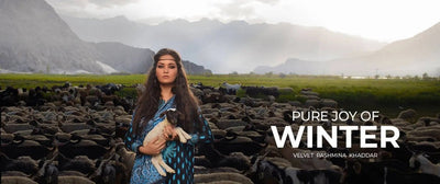 Gul Ahmed Pure Joy Of Winter Velvet Pashmina Khaddar Collection 2021 - Stylealouduk