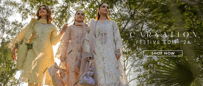 Rang Rasiya Carnation Festive Collection 2024 - Stylealouduk