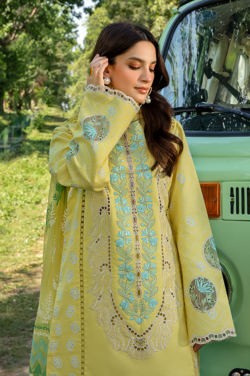 Rang Rasiya 3 Piece Unstitched Embroidered Festive Lawn Suit - AYLA