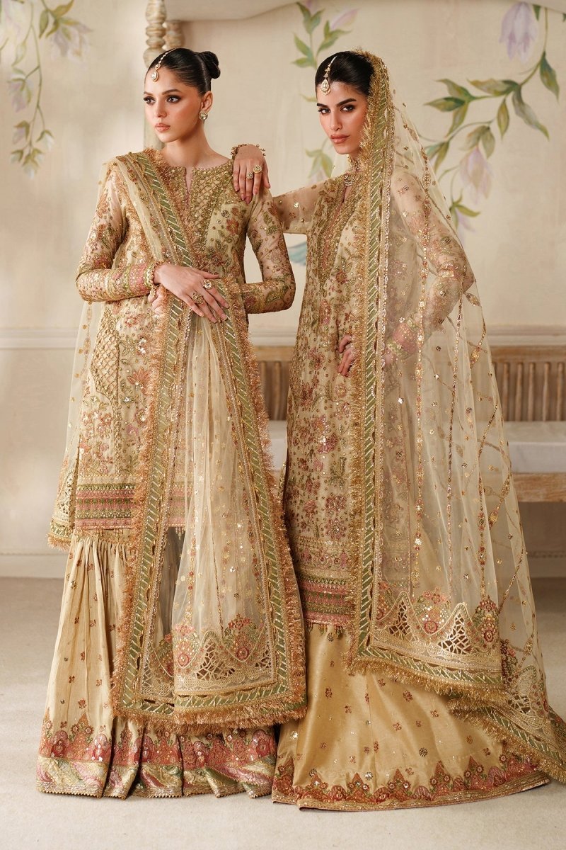 Baroque 3 Piece Unstitched Embroidered Net Suit - CH14-02