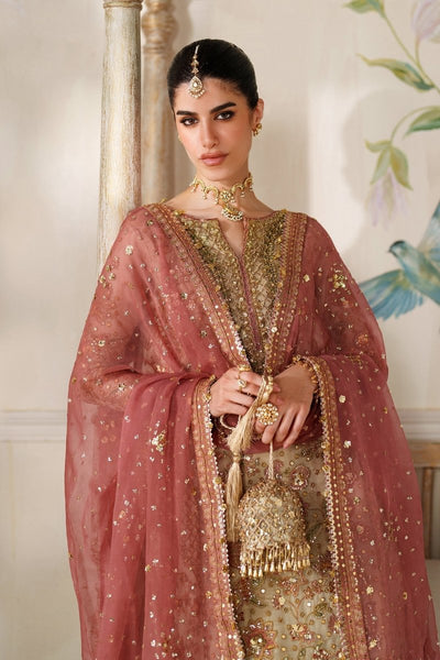 Baroque 3 Piece Unstitched Embroidered Net Suit - CH14-02