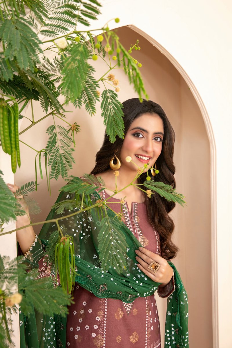 Tawakkal Fabrics 3 Piece Stitched Embroidered Digital Printed Broshia Lawn Suit - D-1356