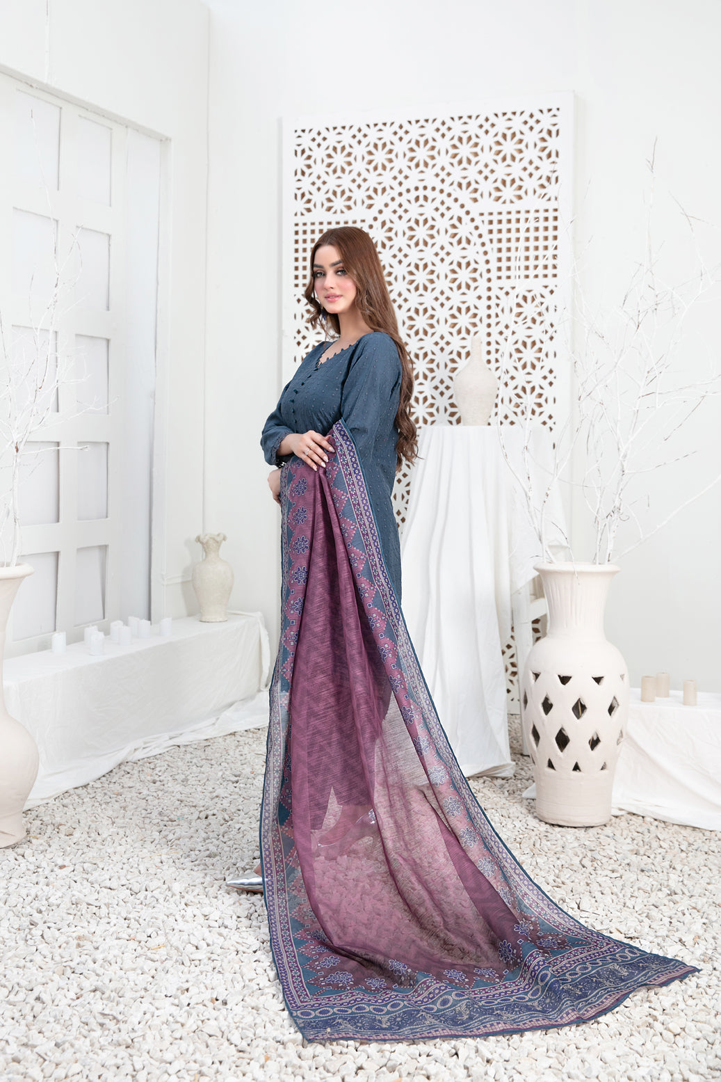 Tawakkal Fabrics 3 Piece Stitched Schiffli Embroidered Lawn Suit - D-3545