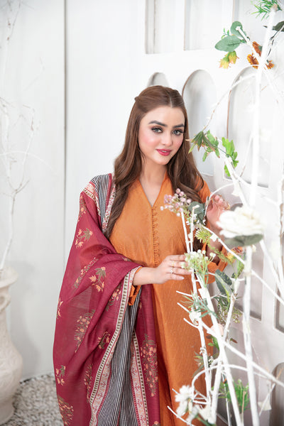 Tawakkal Fabrics 3 Piece Stitched Schiffli Embroidered Lawn Suit - D-3546