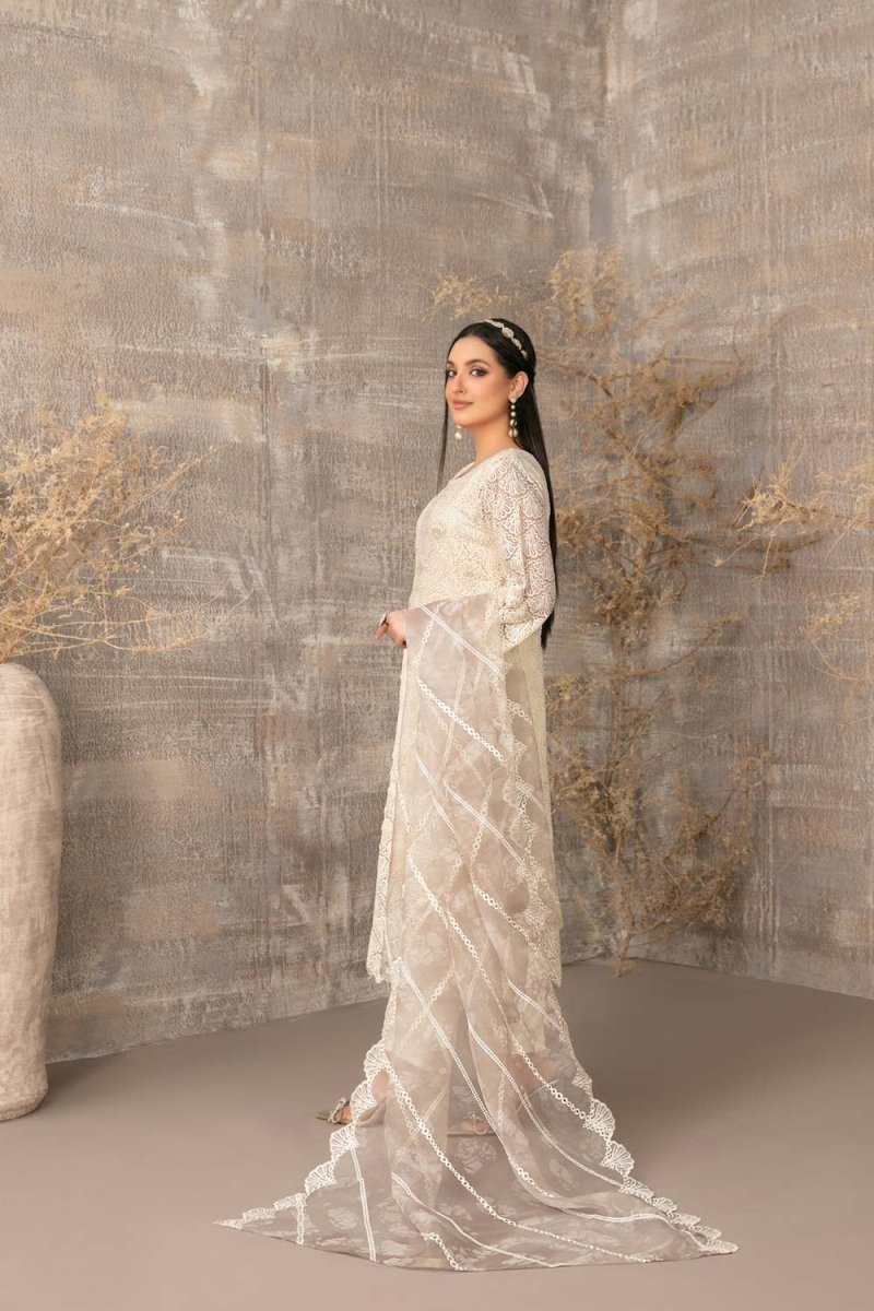 Tawakkal Fabrics 3 Piece Stitched Fancy Heavy Embroidered Net Suit - D-3897