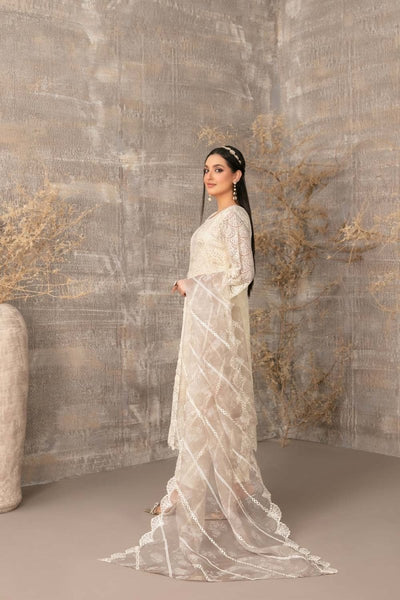 Tawakkal Fabrics 3 Piece Stitched Fancy Heavy Embroidered Net Suit - D-3897