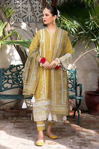 Lakhany 03 Piece Unstitched Fancy Dyed Embroidered Slub Suit - LG-SK-0050