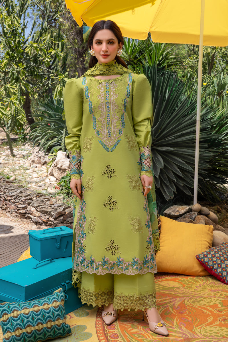 Rang Rasiya 3 Piece Unstitched Embroidered Festive Lawn Suit - LIANA