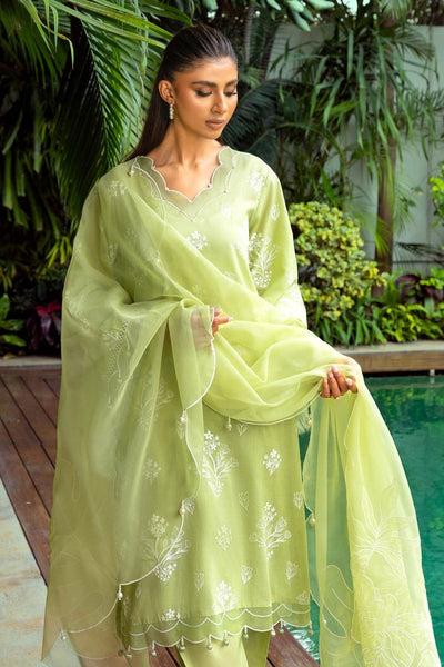 Gul Ahmed 3 Piece Unstitched Lacquer Printed Lawn Suit with Embroidered Organza Dupatta OG-52001