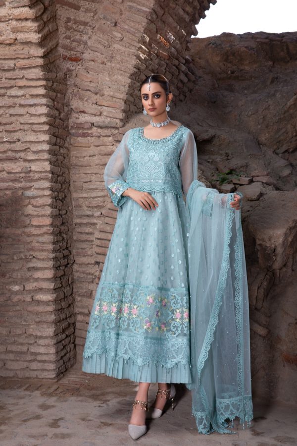 Tawakkal Fabrics 3 Piece Stitched Embroidered Fancy Net Suit D-8065 – INSIGNIA